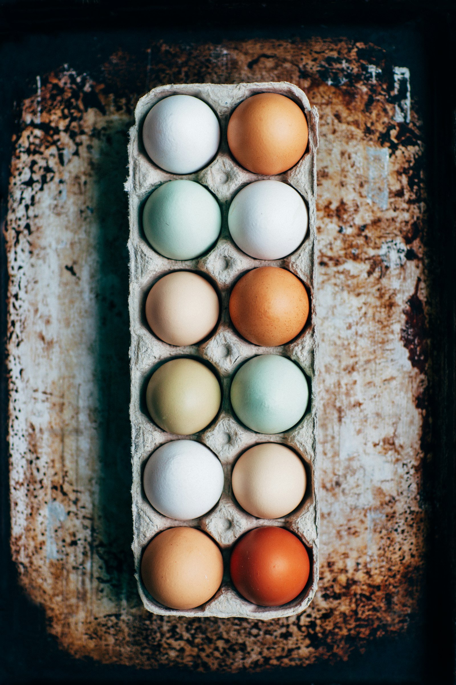 Agro-alimentaire